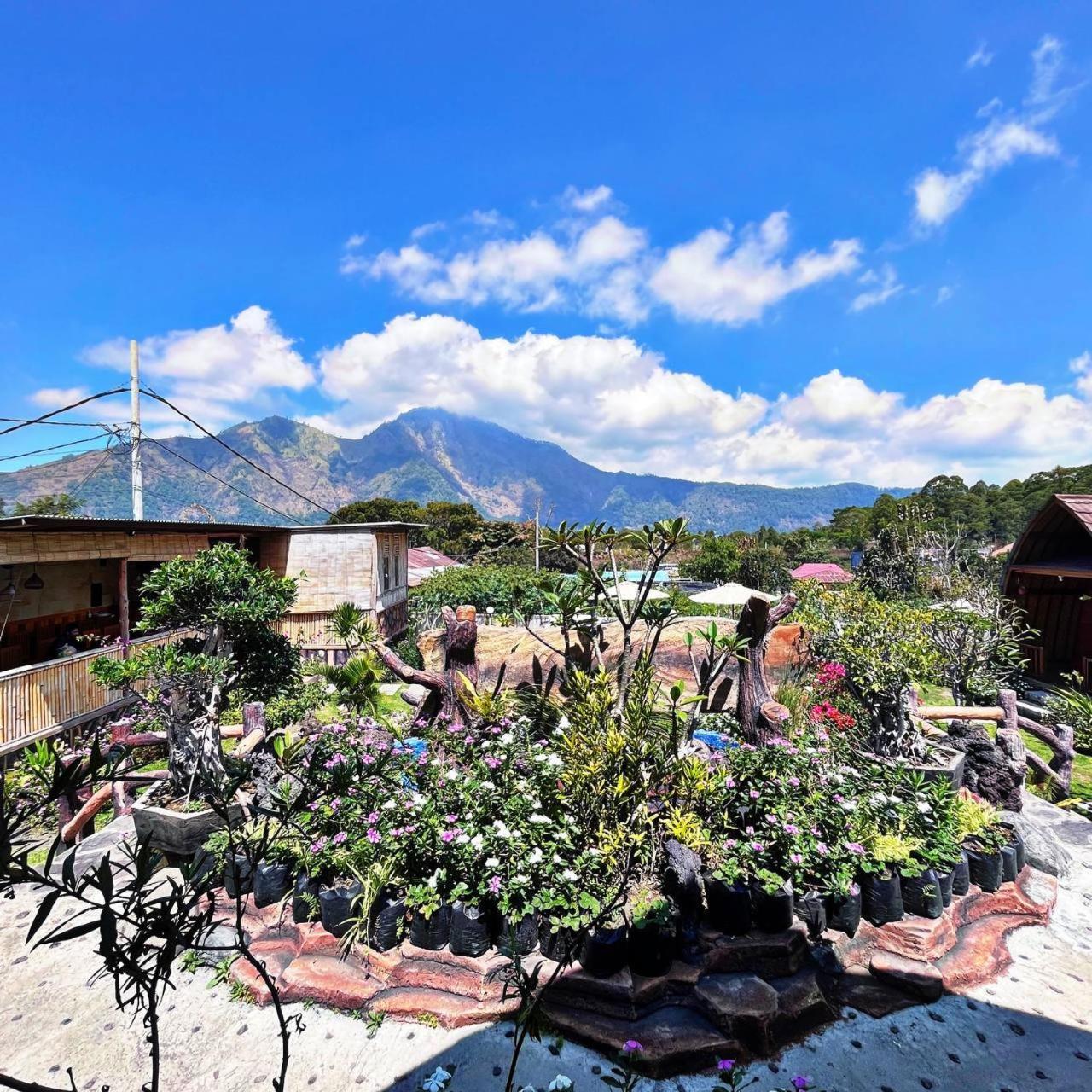 Manik Tirta Cabin'S Kintamani Eksteriør billede